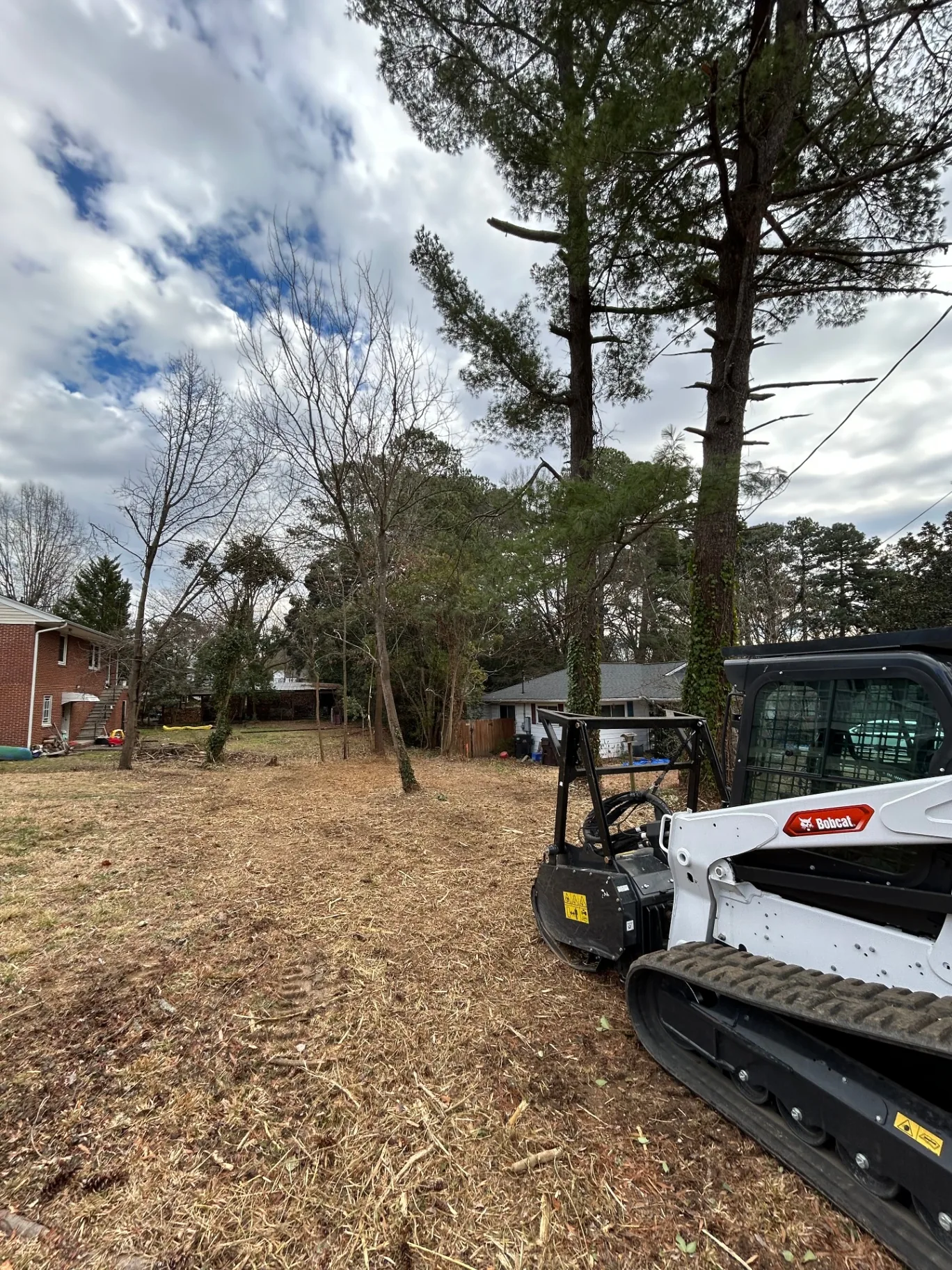 Professional Forestry Mulching & Land Clearing in Raleigh NC | ClearHawk